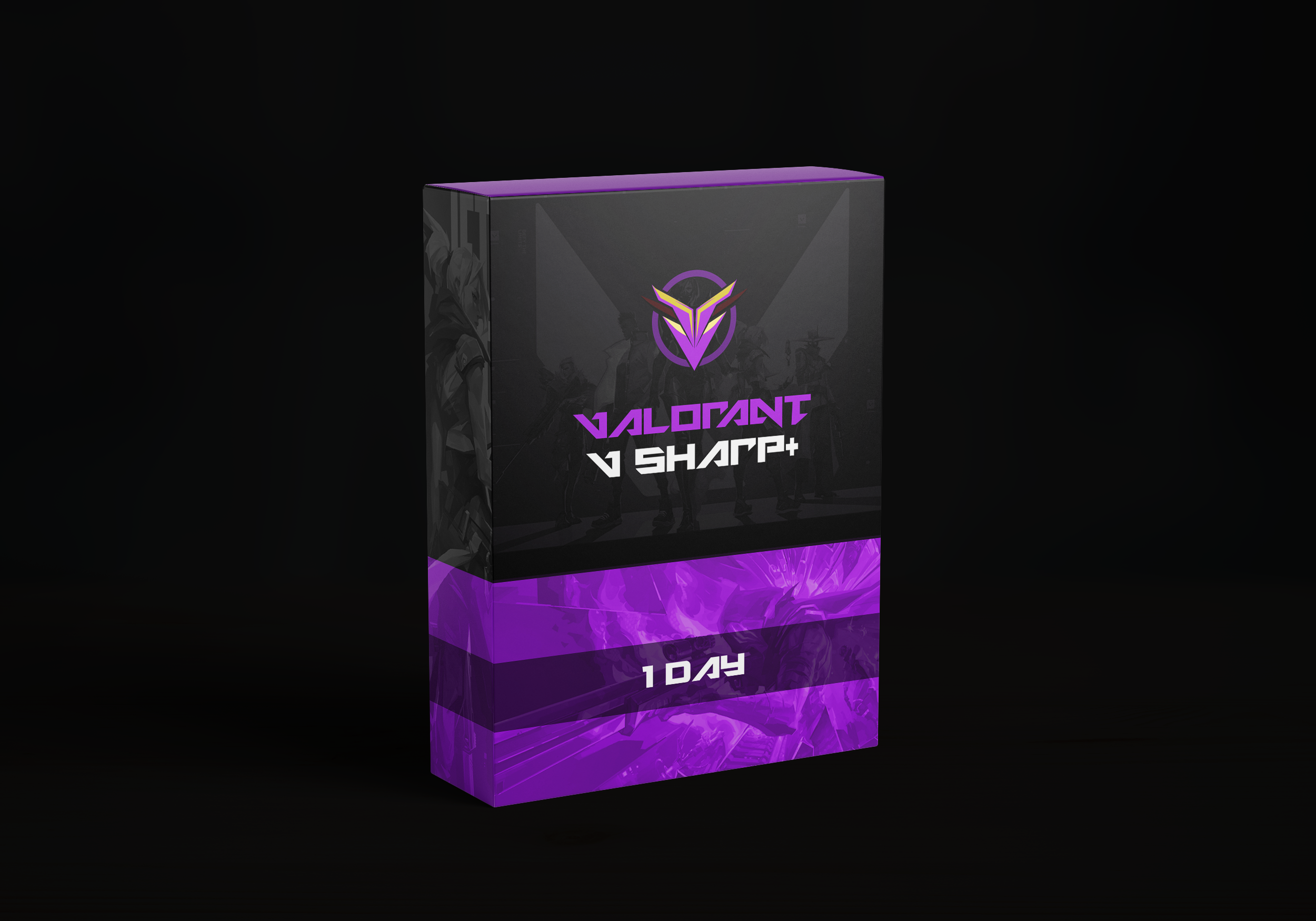 More information about "Vsharp Day"