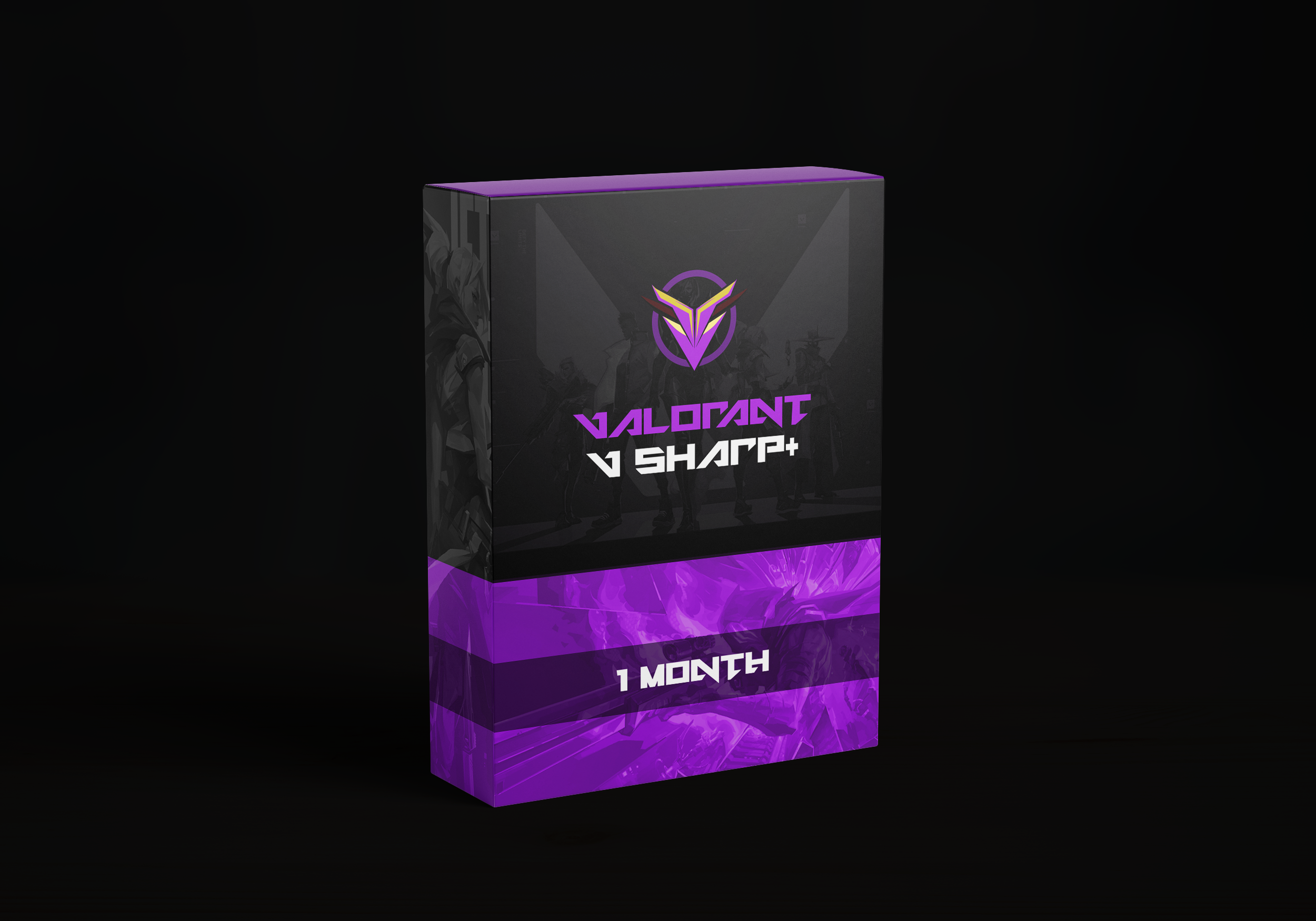 More information about "Vsharp Private Month"